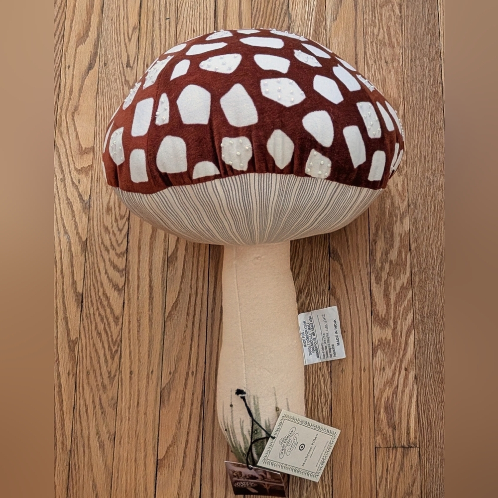 NWT! 2025 Target JOHN DERIAN "Mushroom" 14x16" Cotton Velvet Beaded Pillow